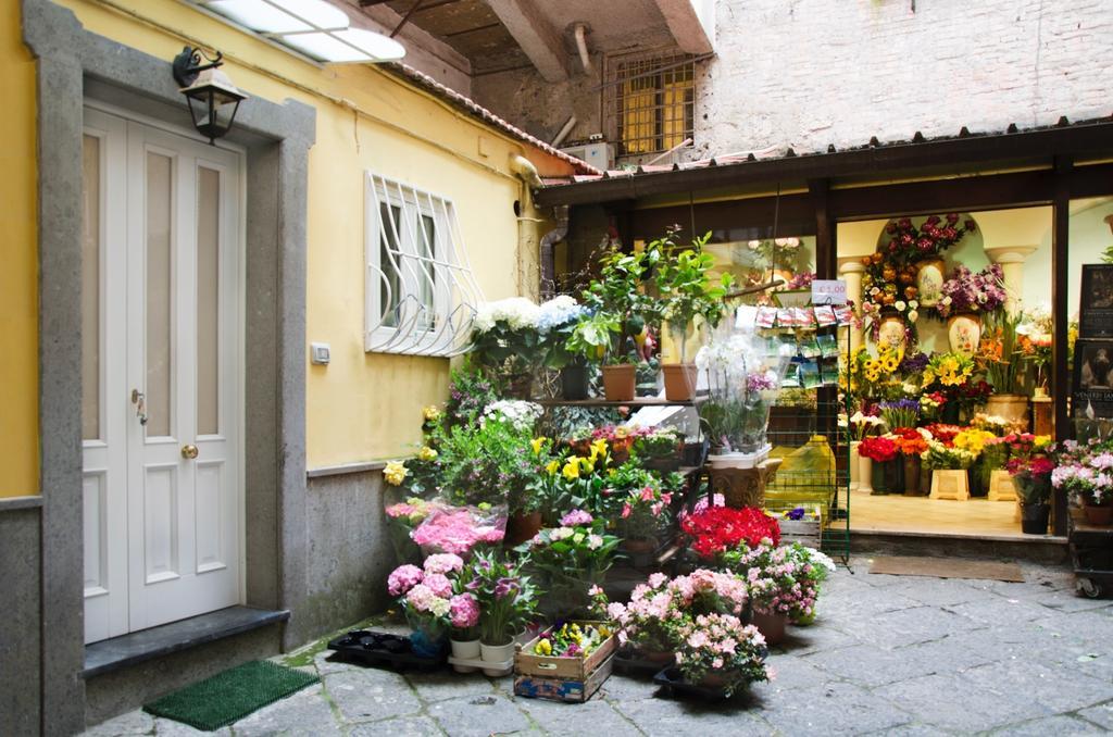 ソレントCasa Tonia San Cesareoアパートメント 部屋 写真